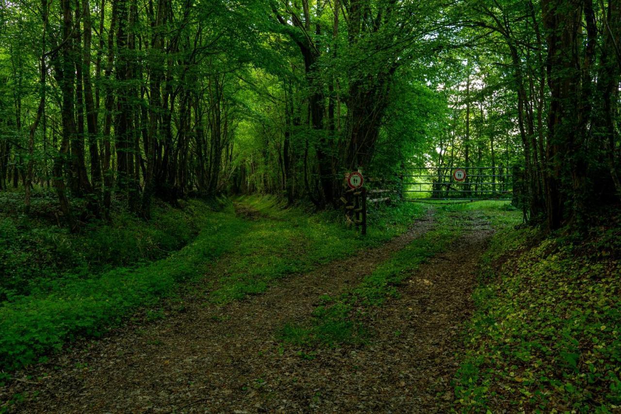 Готель Moulin De Boiscorde, Au Centre Du Perche Remalard Екстер'єр фото